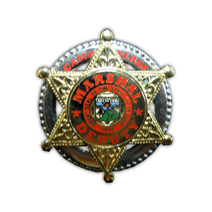 金屬徽章